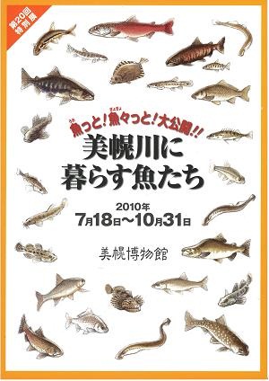 美幌川に暮らす魚たち図録.jpg