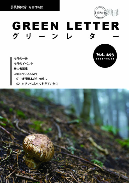 GREEN LETTER2108_HP.jpg