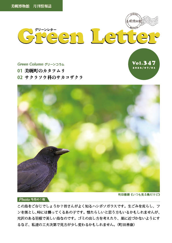 グリーンレターVol.347表紙