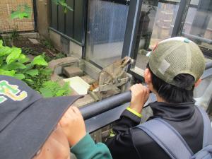 動物園3