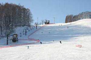 リリー山