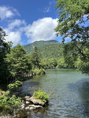 令和5年7月2日の画像3
