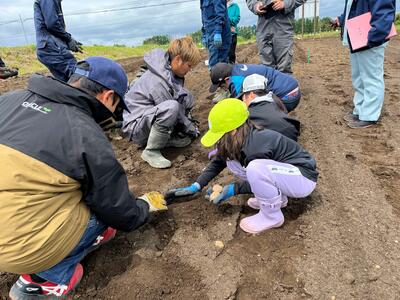 秋の収穫が楽しみです！（5月31日・金曜日　3年生　あさひ農業学校）の画像4