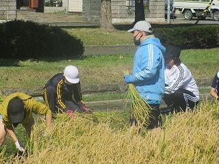 田んぼの学校（5年）の画像2
