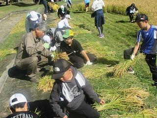 田んぼの学校（5年）の画像4