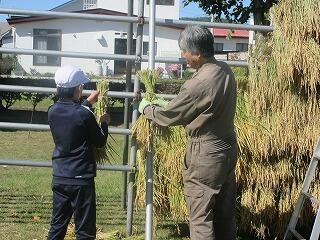 田んぼの学校（5年）の画像5