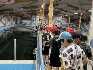 社会科見学（4年）の画像4