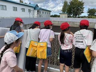 社会科見学（4年）の画像5