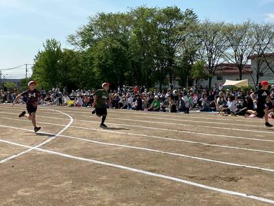 好天に恵まれ、練習の成果を存分に発揮しました！（6月8日・土曜日　運動会）の画像1