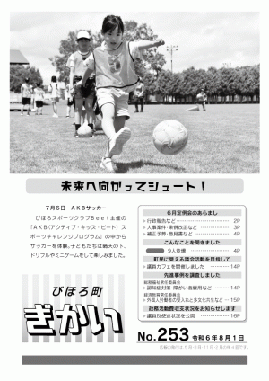びほろ町ぎかい253号