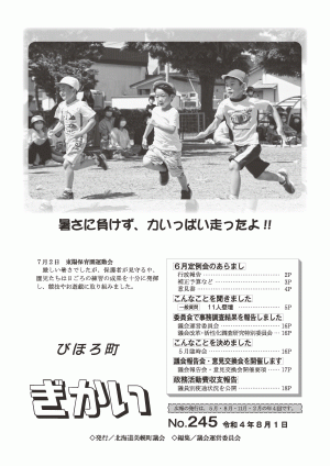 びほろ町ぎかい245号