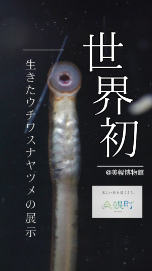 動画のプレビュー1