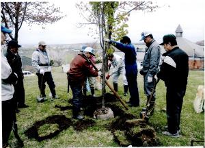 桜の名所を創る会活動状況２