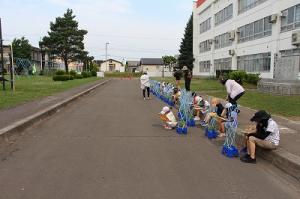 あさがおの観察中