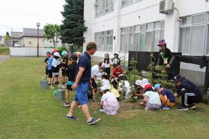 草抜きをする2年生