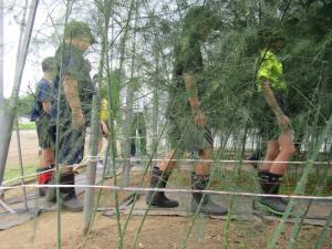 アスパラのビニールハウス