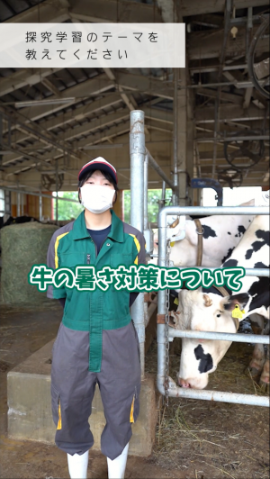 動画サムネイル2
