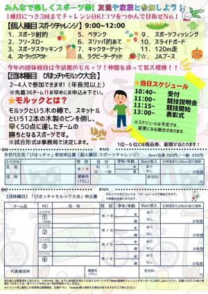 びほっチャチラシ裏