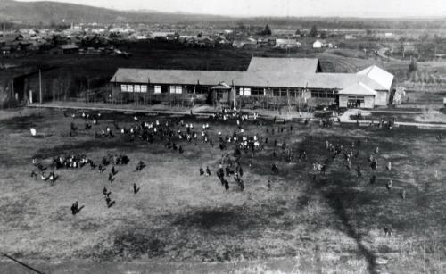 美英小学校画像