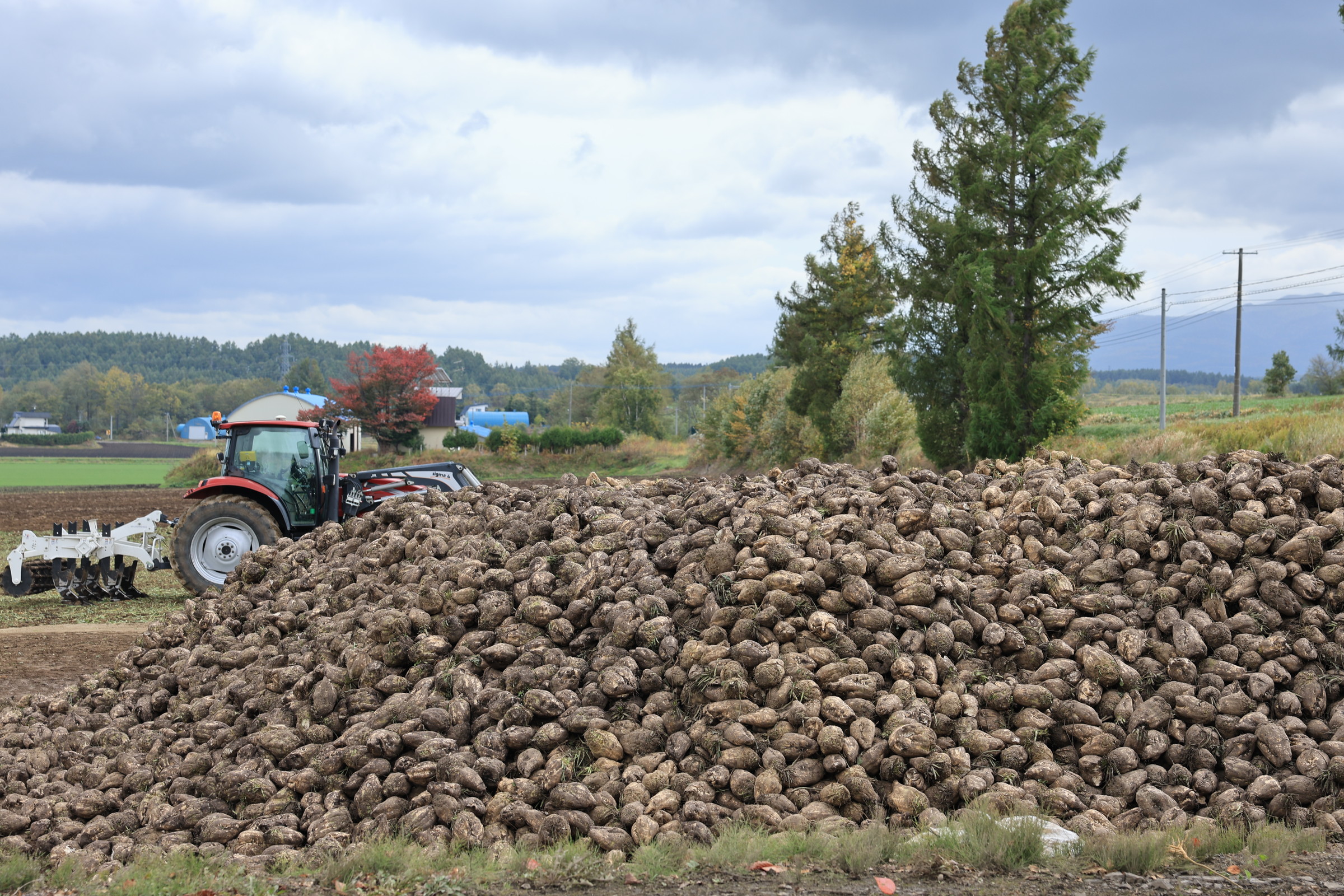 命を掘り出す画像