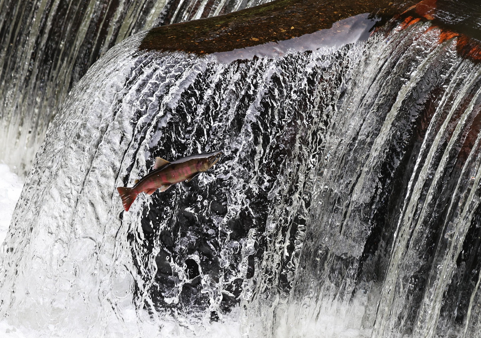 この先に行かないと