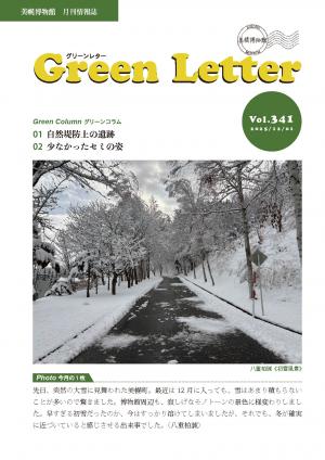 グリーンレターVol.341画像