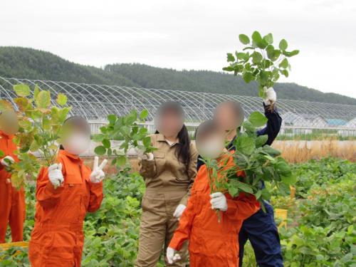 収穫した枝豆を掲げる生徒たち