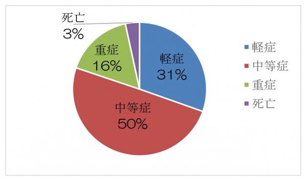 傷病程度別の割合