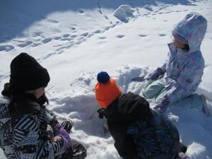 冬の駒生川生き物探し