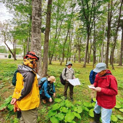 R8-5博物館講座画像