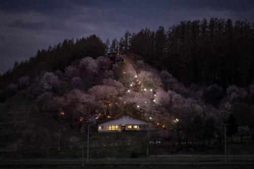 みどりの村桜③