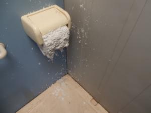 トイレットペーパーがふやけて使用不可