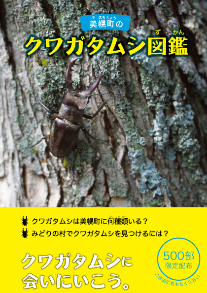 クワガタムシ図鑑の画像