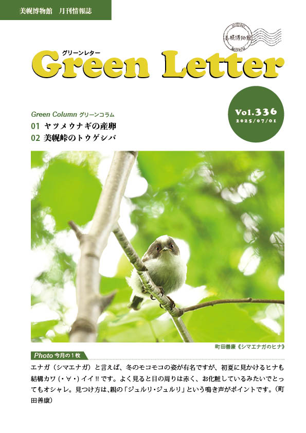 グリーンレターVol.336号の表紙画像